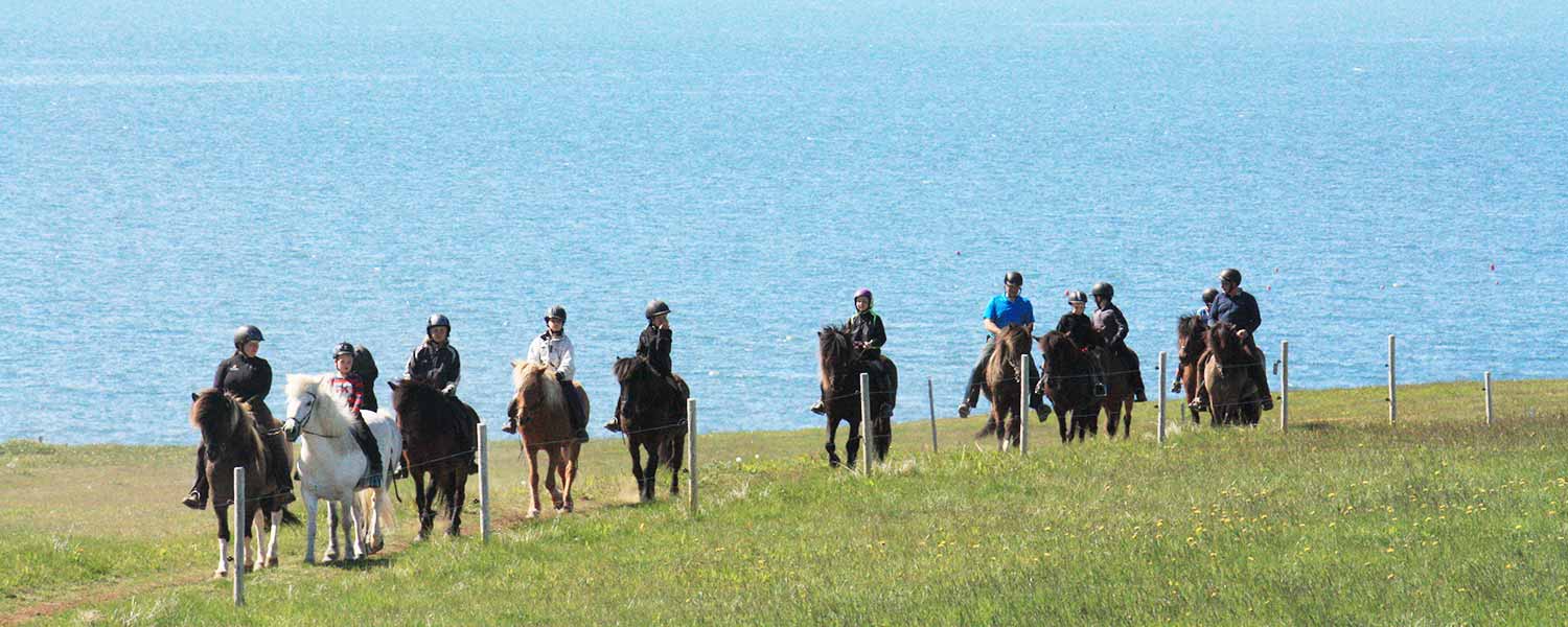 Rider vid sjön Mývatn med sitt rika fågelliv och fantastiskt vackra landskap