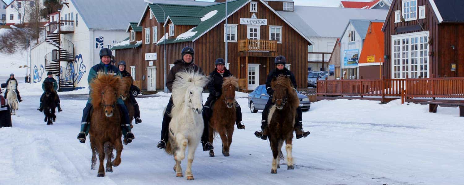 Rider på islandshäst i Húsavík på Island