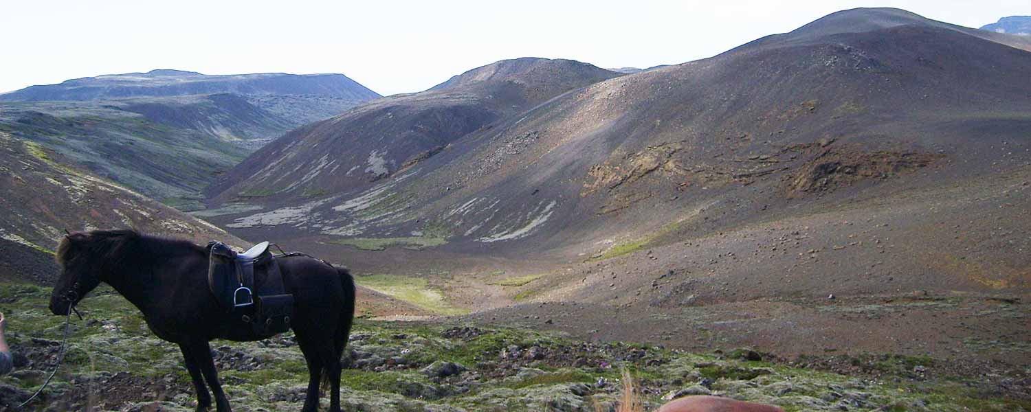 Ridpaus på ett berg och njuter av den vackra utsikten över Islands sydvästra udde