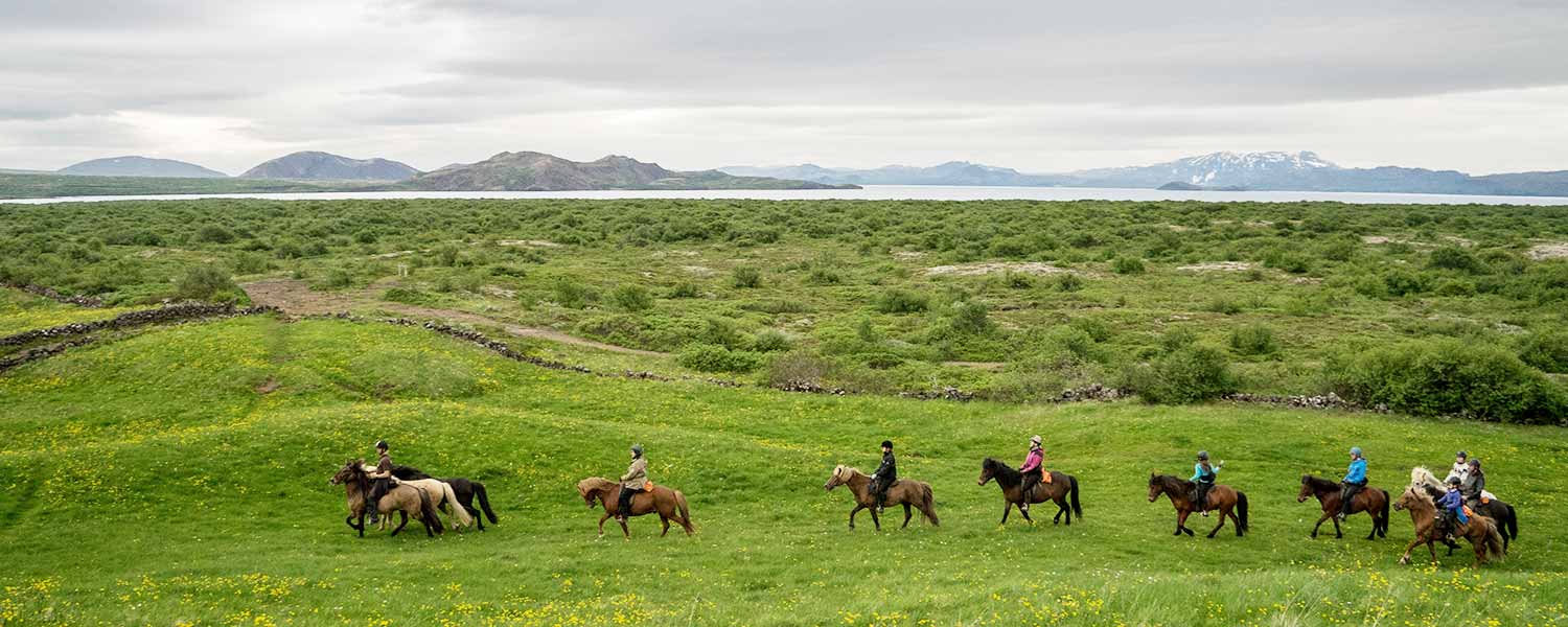 Rider västerut över Hellisheiðiplatån