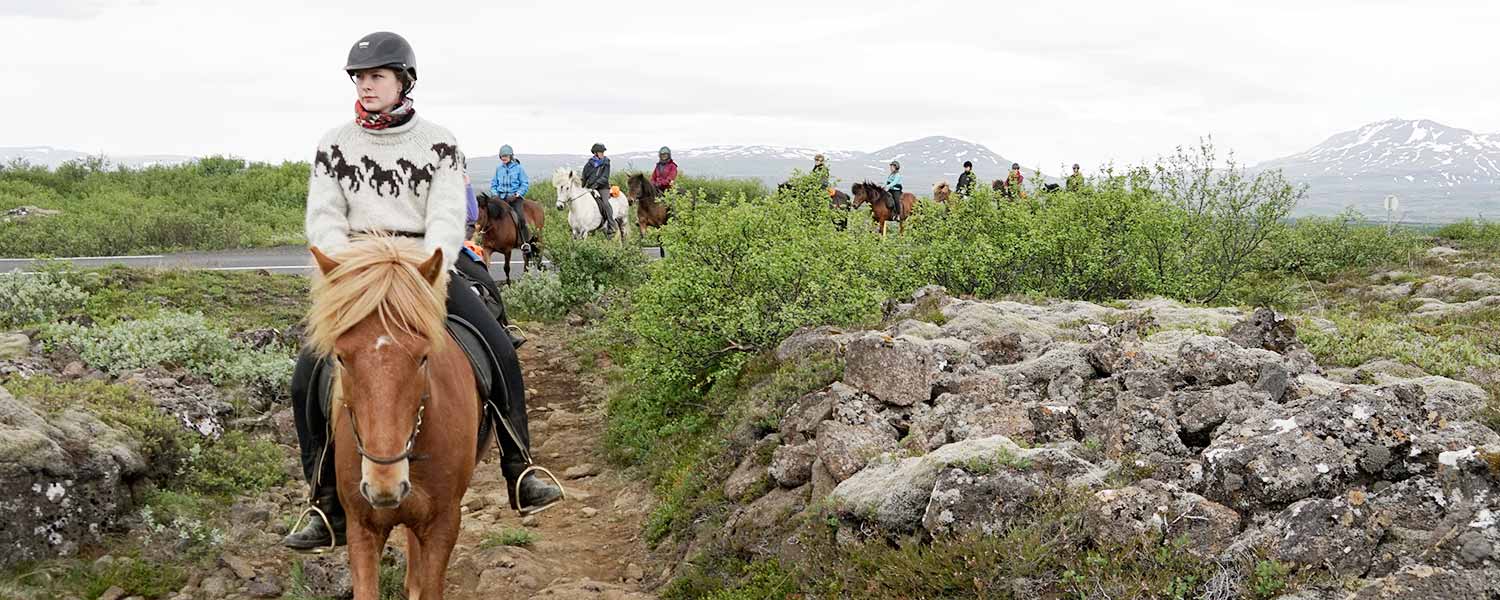 Rider på islandshäst i nationalparken Thingvellir på Island