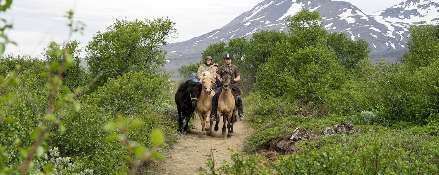 Rider på den gamla leden längs sjöns västra strand till Thingvellir