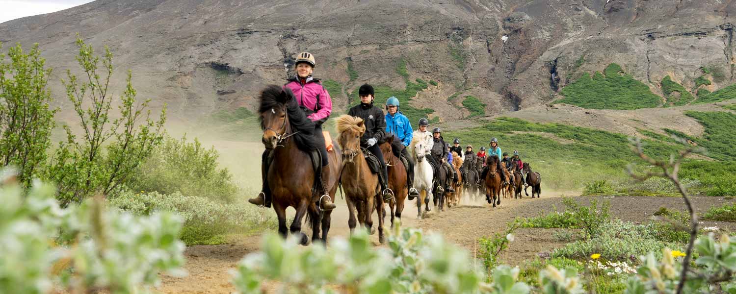 Hela sällskapet rider på led mot Thingvellir