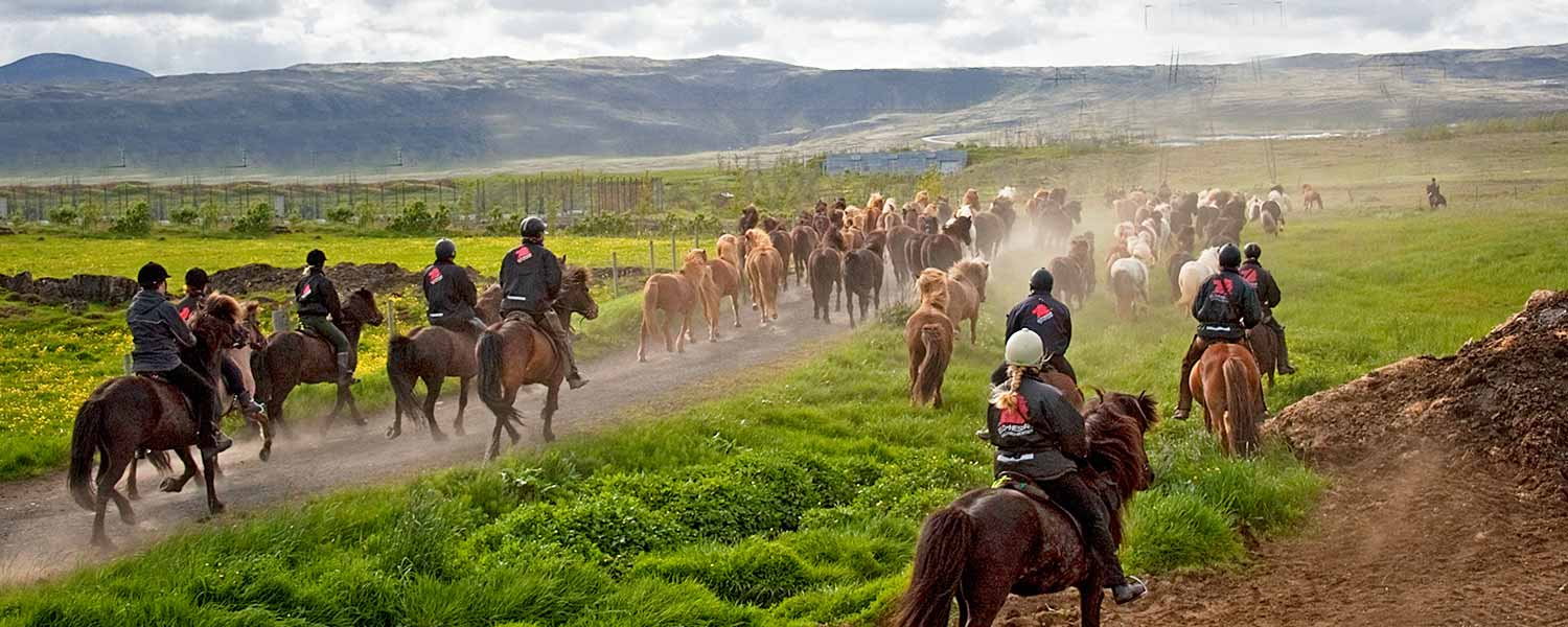 Rider islandshästar på det isländska höglandet