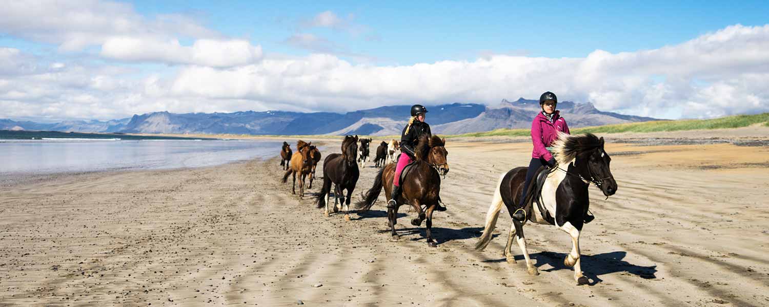 Rider på islandshäst mot Snaefellsnes