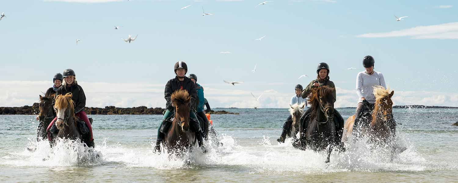 Vi njuter av en snabb ritt på stranden med fantastisk utsikt över havet