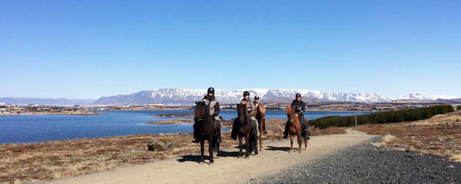 Rider med bergen i bakgrunden nära sjön Ellidaárvatn