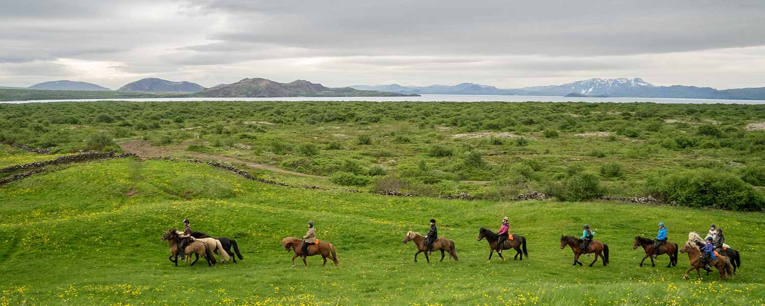 Fantastiskt bra ridresa med underbara vyer och naturupplevelser på Island