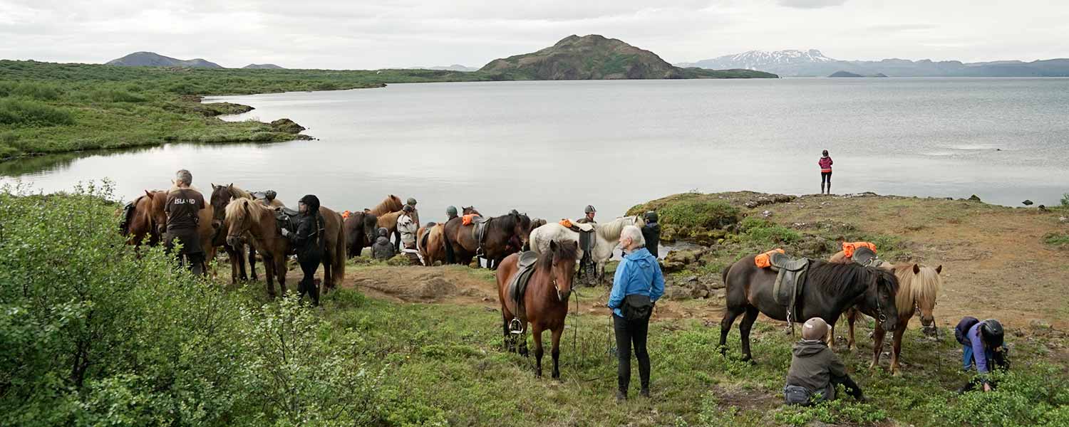 Ridresa med paus och utsikt över sjön Thingvallavatn på Island