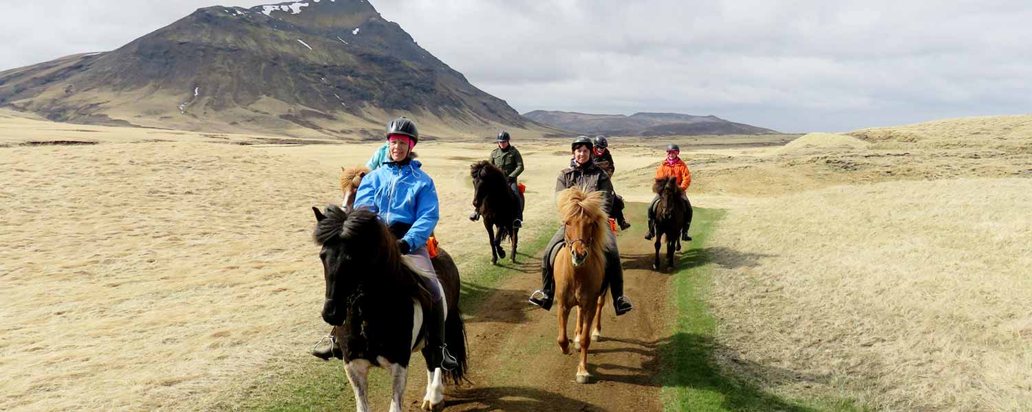 Rider på islandshästar i Heidmörk Naturreservat på Island