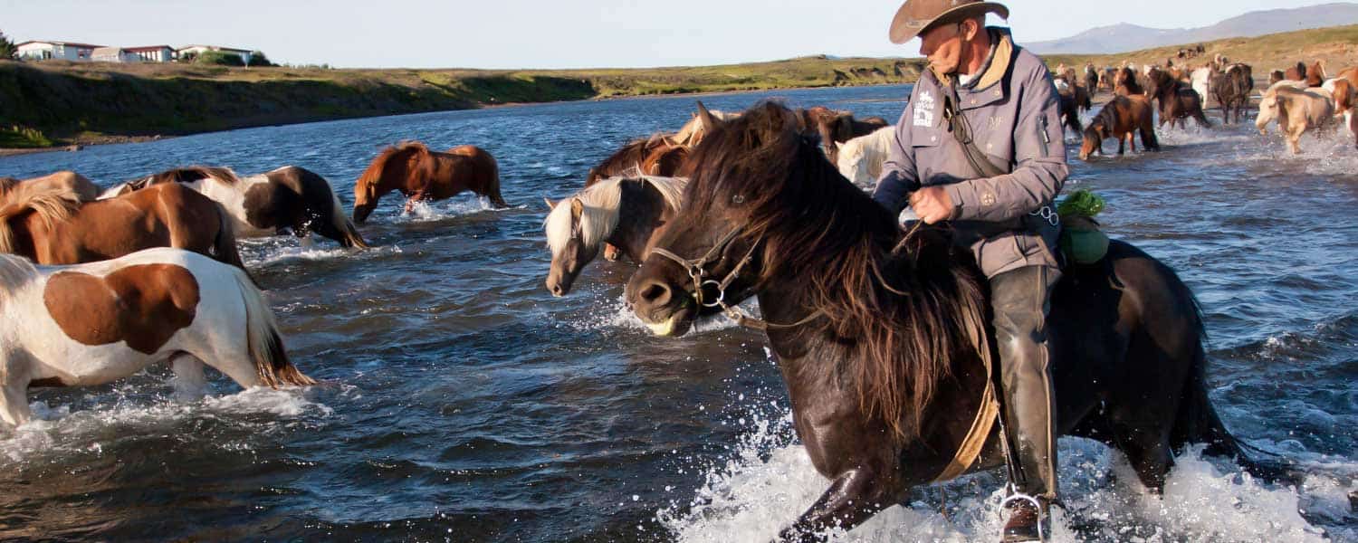 Rider islandshäst påväg till Snaefellsnes