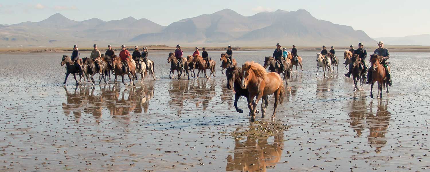 Rider på stranden till Snaefellsnes