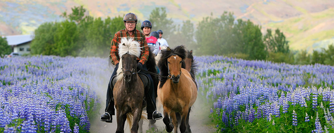 Rider islandshäst i spännande landskap på Island