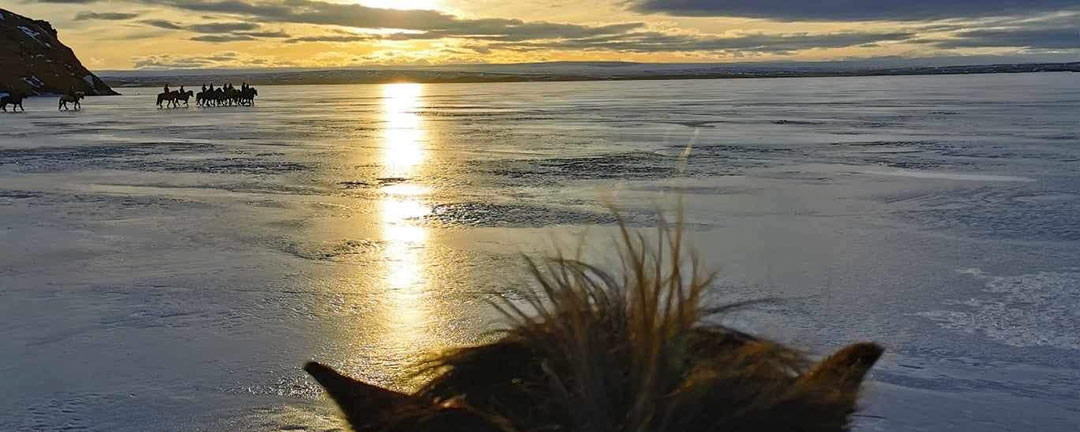 Rider över myvatn på Island