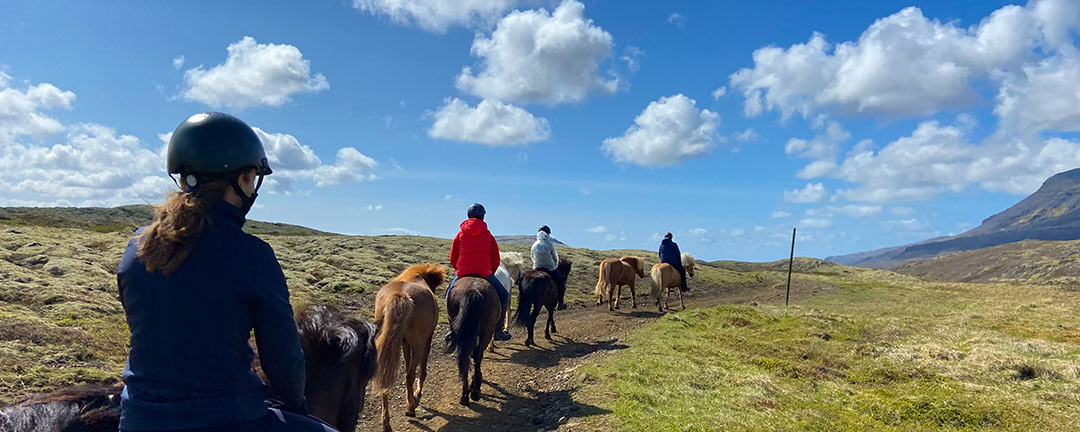 Töltar på islandshäst bland bergstoppar på Island